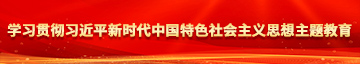 操逼软件啊啊啊啊学习贯彻习近平新时代中国特色社会主义思想主题教育